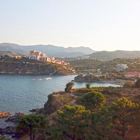 Appartement Lumineux Entre Plage Et Montagne Banyuls-sur-Mer Extérieur photo